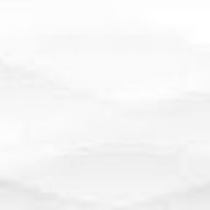 Meet your Posher, Ava